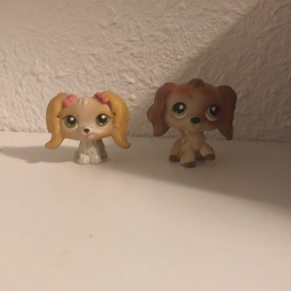 Lps dogs